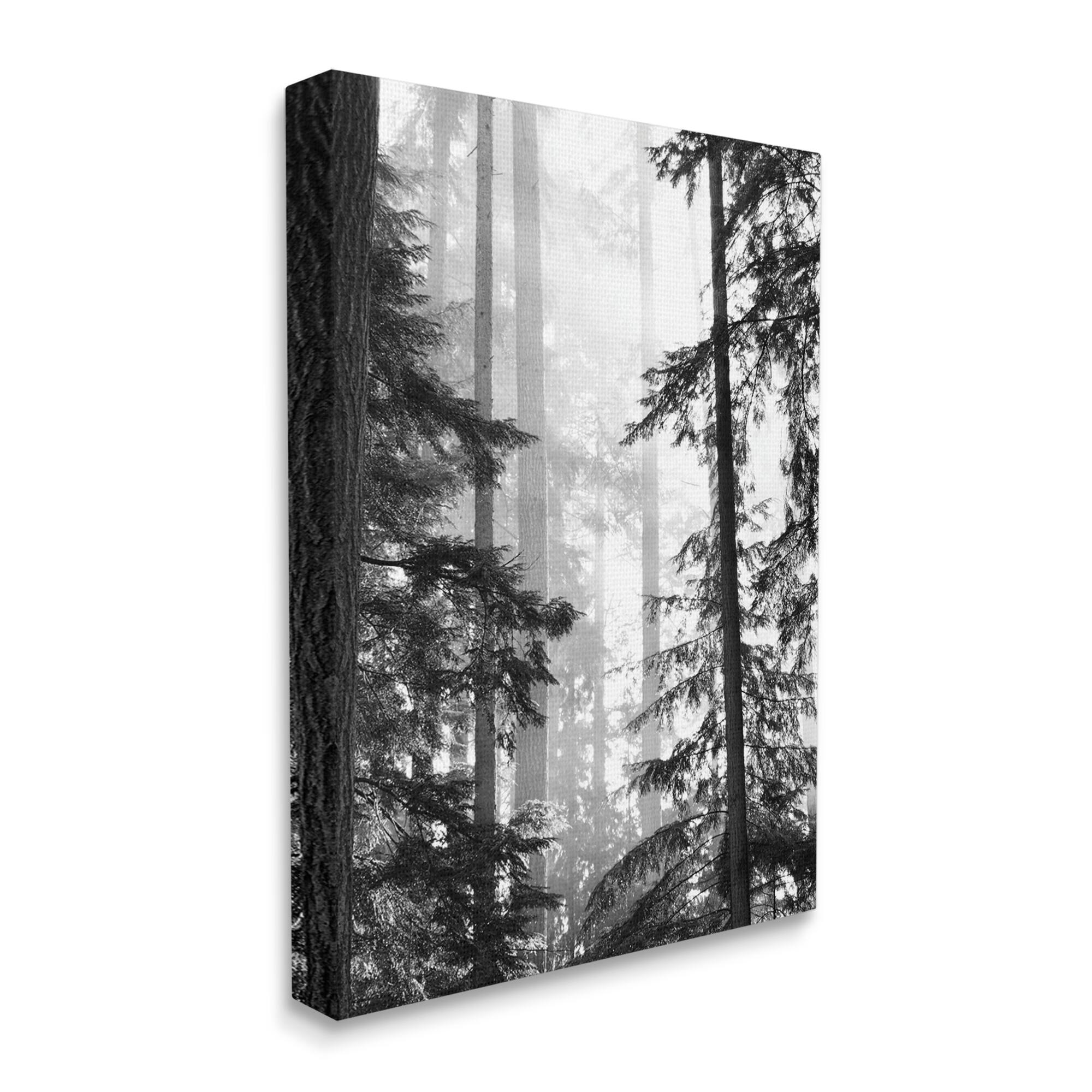 Stupell Industries Forest Light Shining Through Tall Trees Landscape Photography Canvas Wall Art